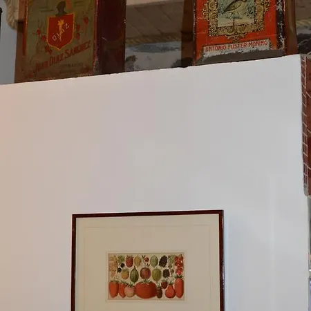 Mesao