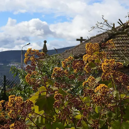 Mesao Casa de hóspedes 3*